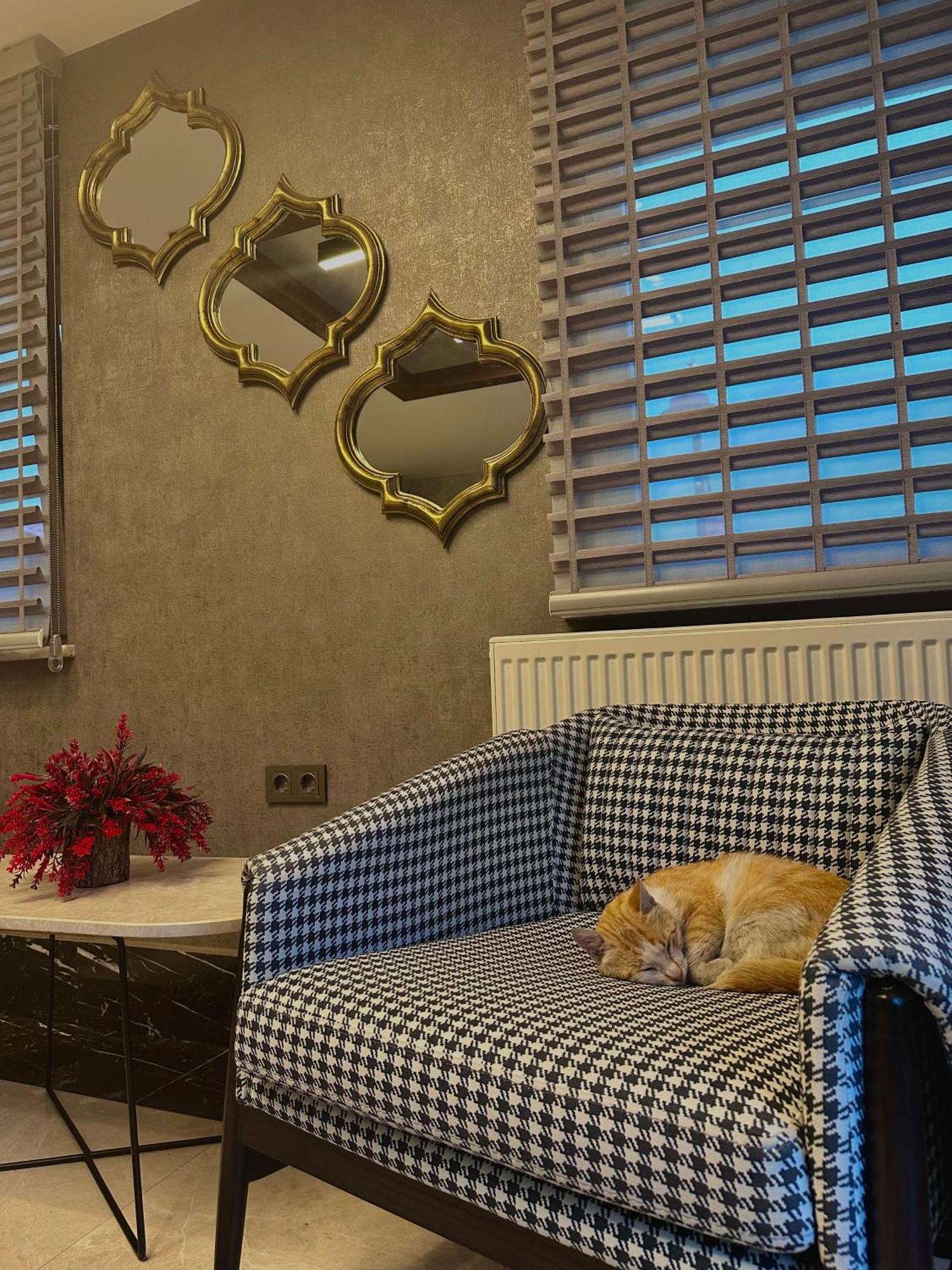 Kaya Life Resort Uzungöl Zewnętrze zdjęcie
